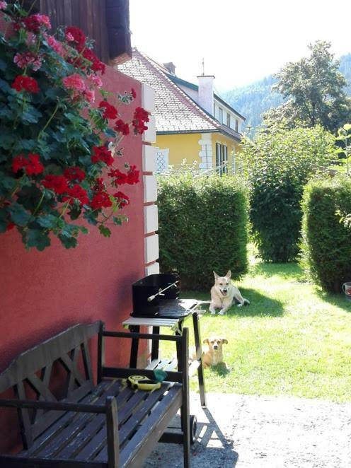 La Vecchia Mesnerhaus Vila Pusterwald Exterior foto